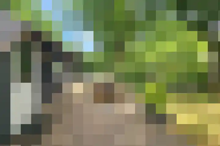 Tonnenberg 53 K 47 Ermelo thumbnail 17
