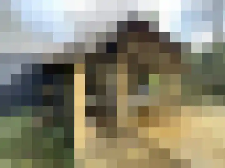 Tonnenberg 53 K 49 Ermelo thumbnail 16