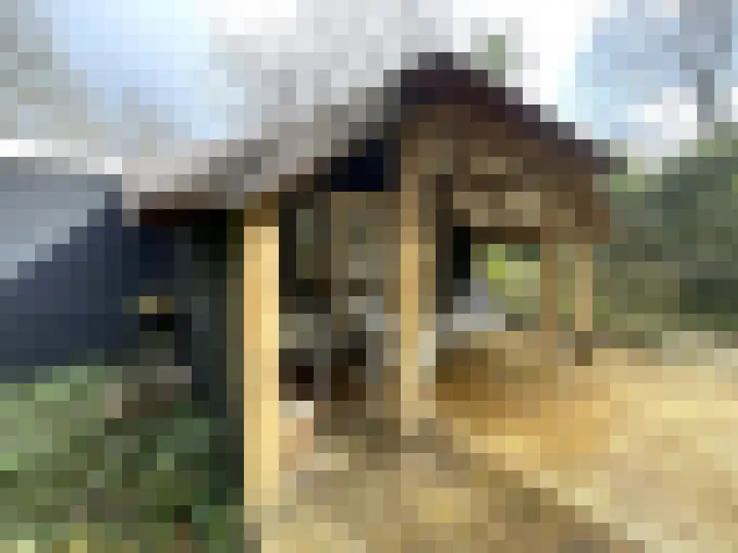 Tonnenberg 53 K 49 Ermelo thumbnail 16