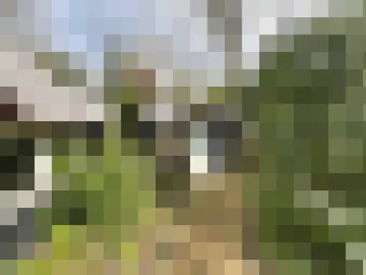 Tonnenberg 53 K 49 Ermelo thumbnail 17