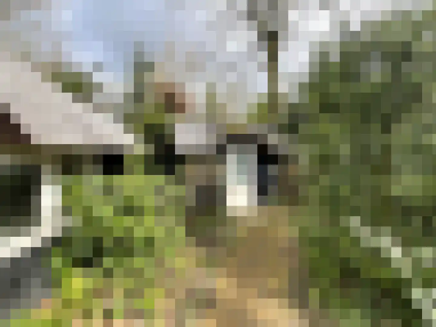 Tonnenberg 53 K 49 Ermelo thumbnail 17