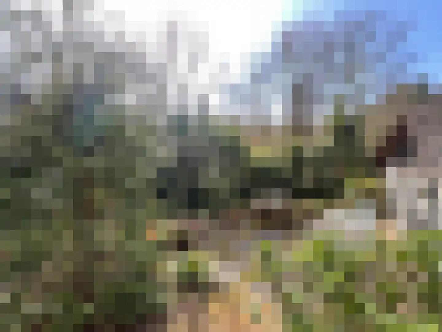 Tonnenberg 53 K 49 Ermelo thumbnail 18