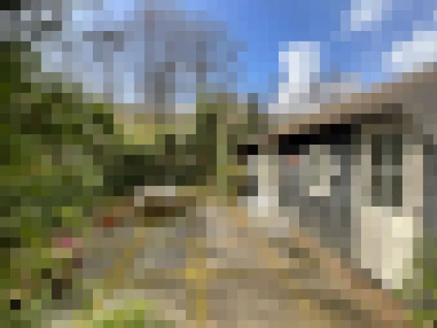 Tonnenberg 53 K 49 Ermelo thumbnail 19