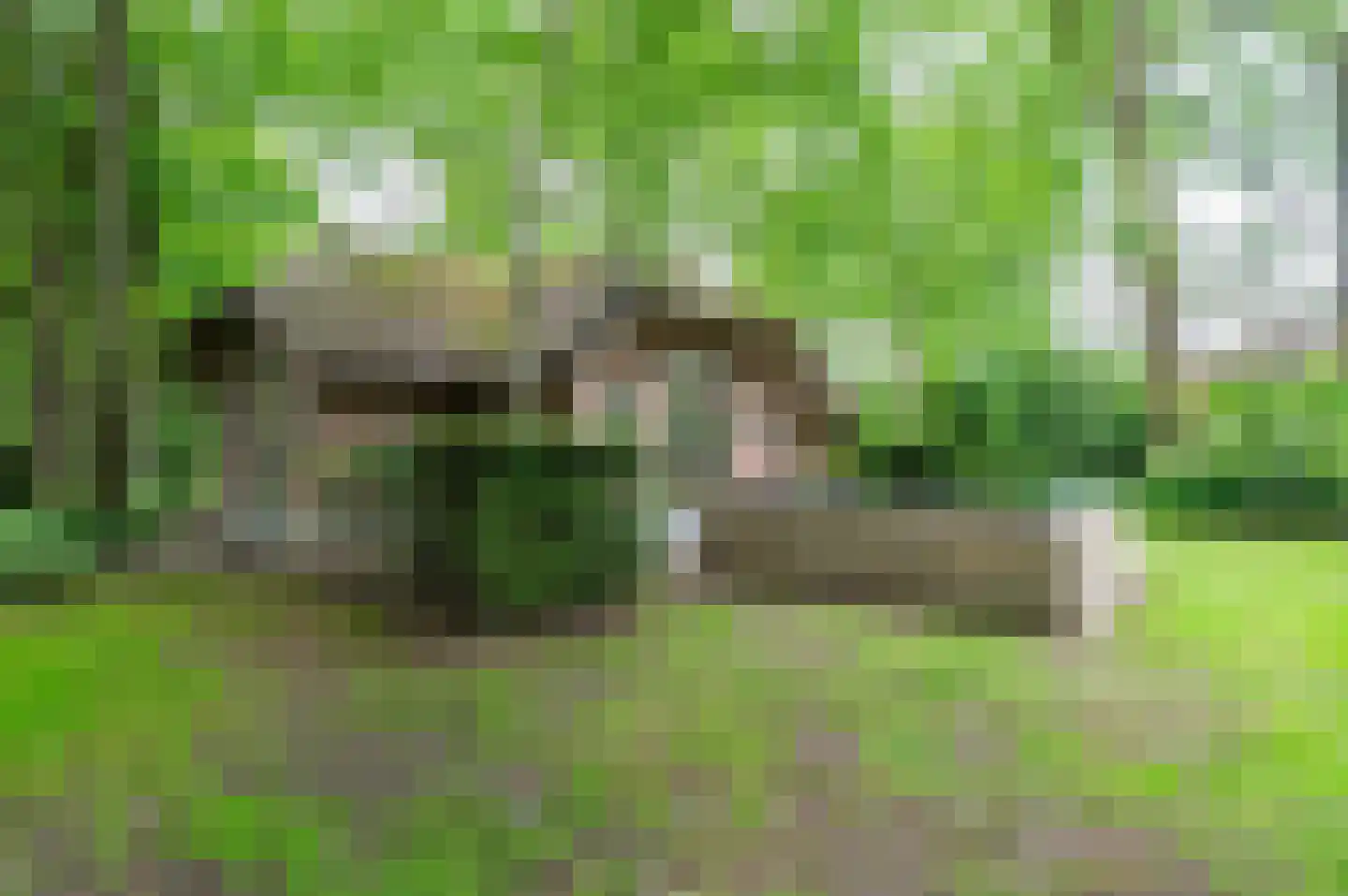 Tonnenberg 53 V 1 Ermelo thumbnail 30