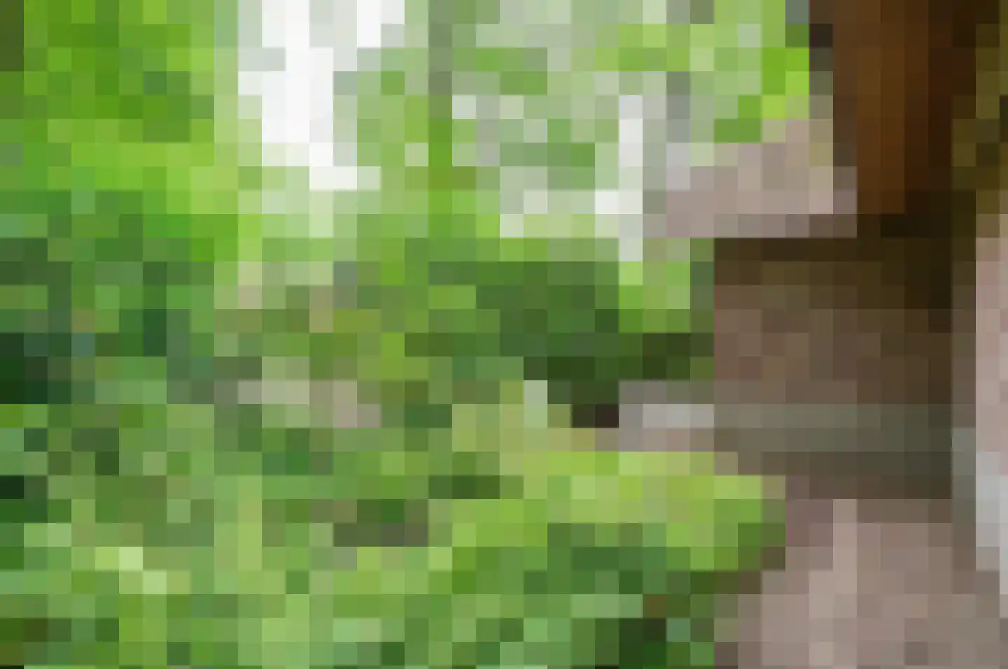 Tonnenberg 53 V 1 Ermelo thumbnail 32
