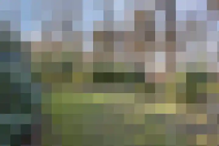 Tonnenberg 53 V 3 Ermelo thumbnail 32