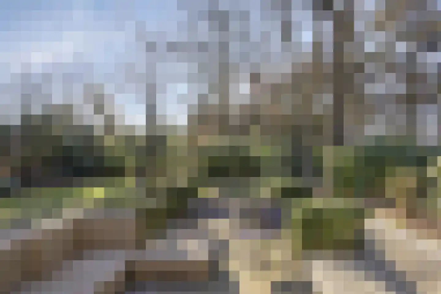 Tonnenberg 53 V 3 Ermelo thumbnail 33