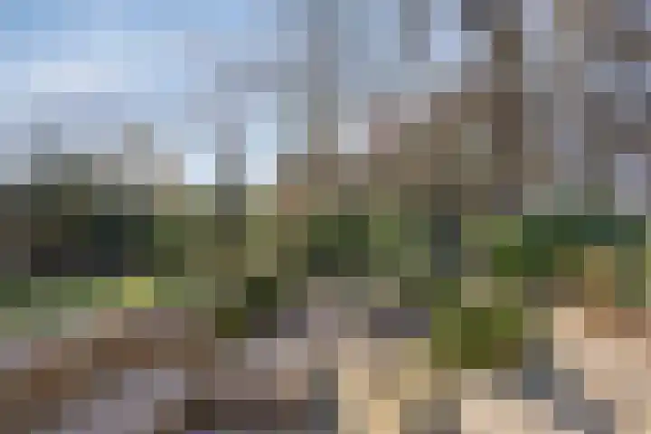 Tonnenberg 53 V 3 Ermelo thumbnail 33