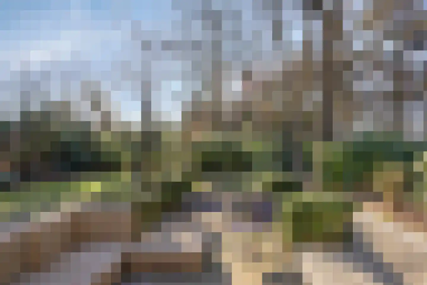 Tonnenberg 53 V 3 Ermelo thumbnail 33