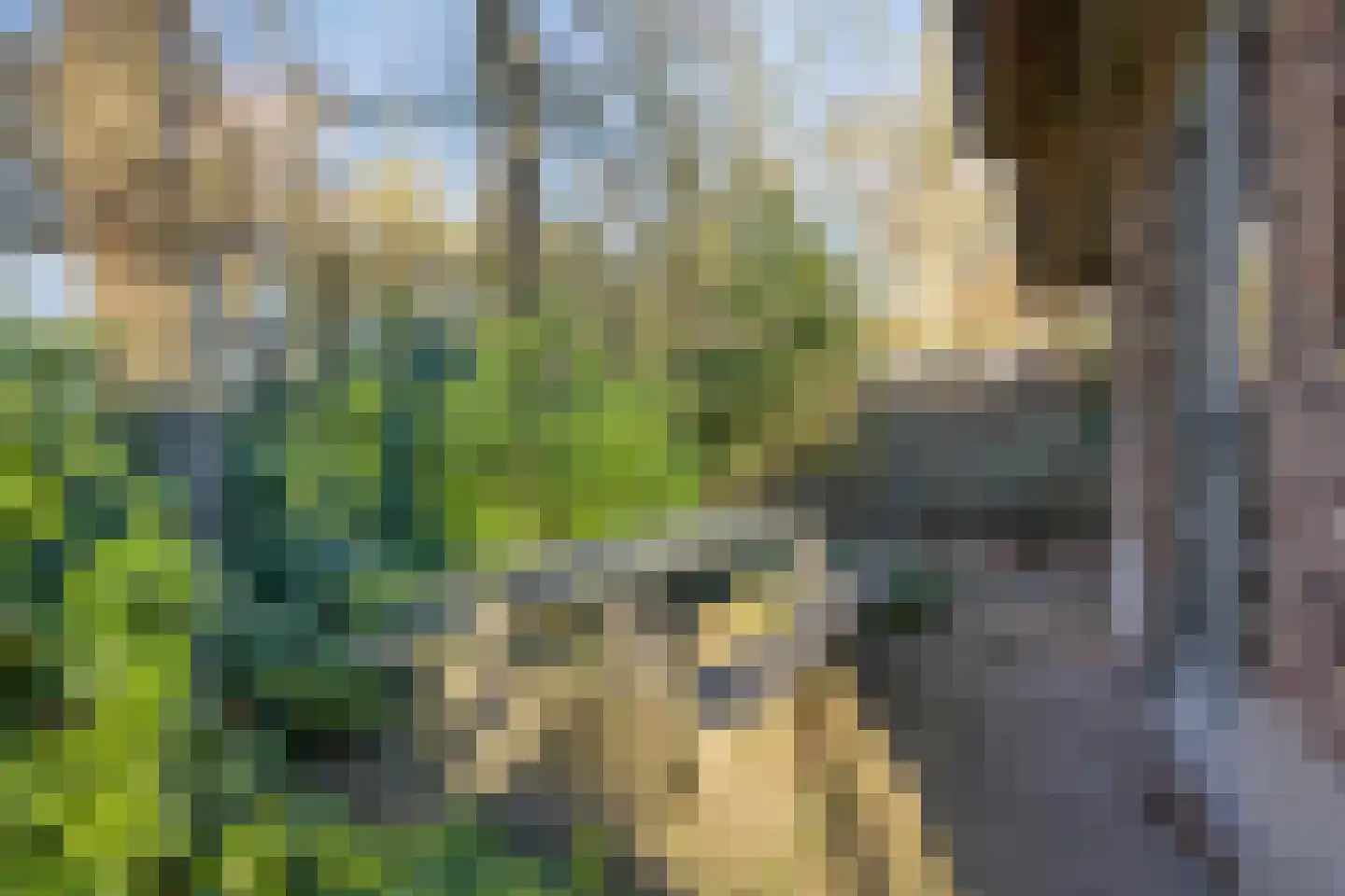 Tonnenberg 53 V 3 Ermelo thumbnail 34
