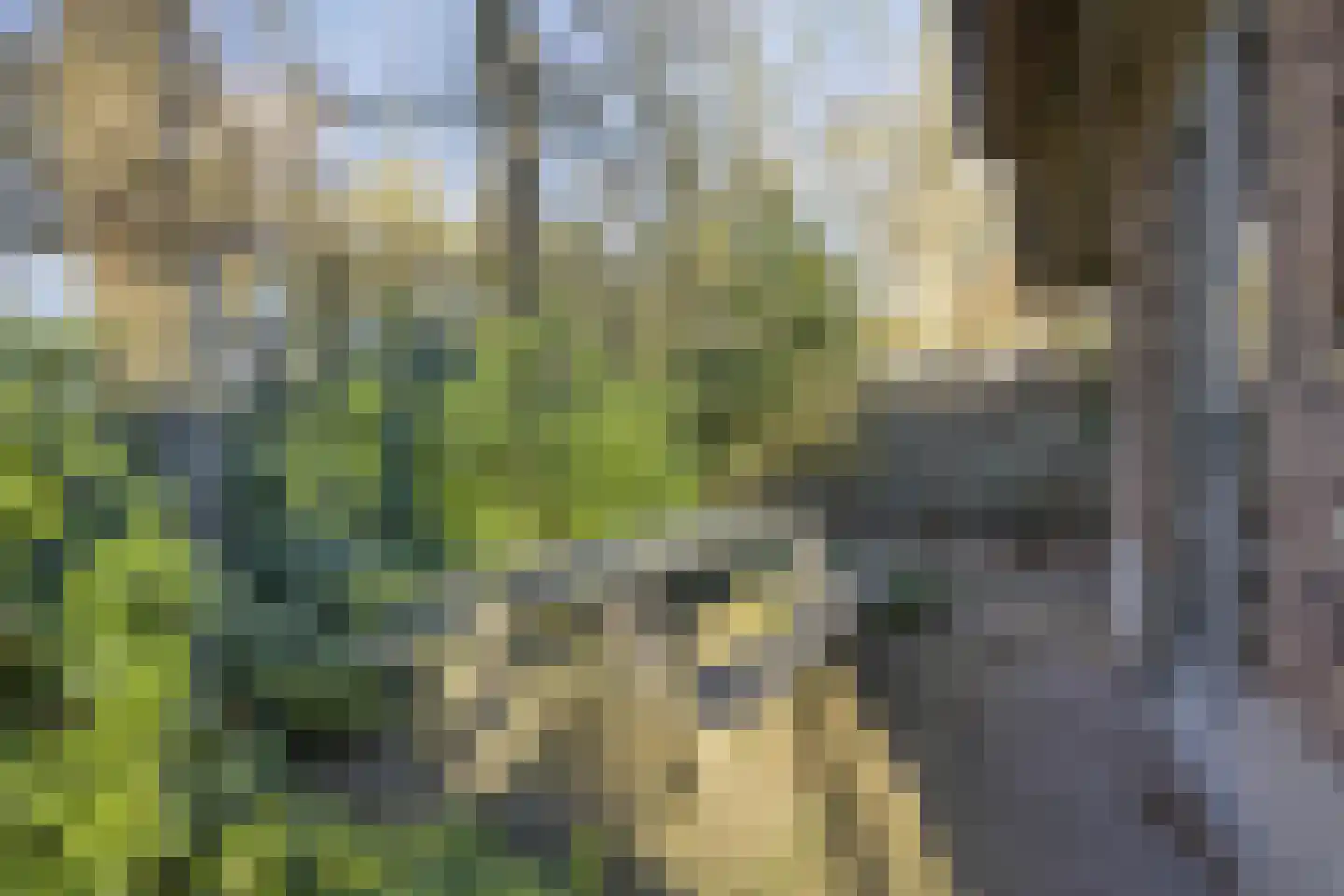 Tonnenberg 53 V 3 Ermelo thumbnail 34