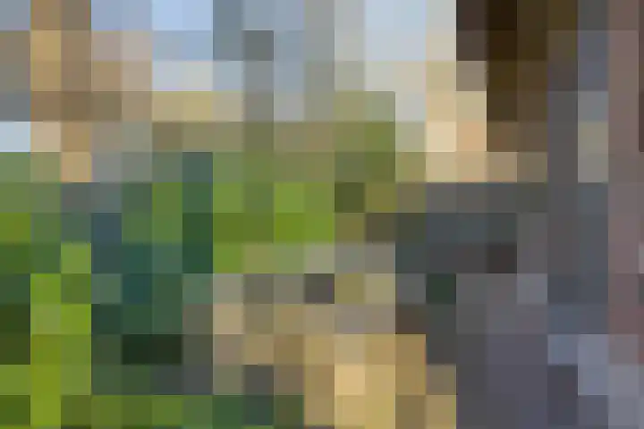 Tonnenberg 53 V 3 Ermelo thumbnail 34