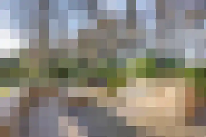 Tonnenberg 53 V 3 Ermelo thumbnail 35
