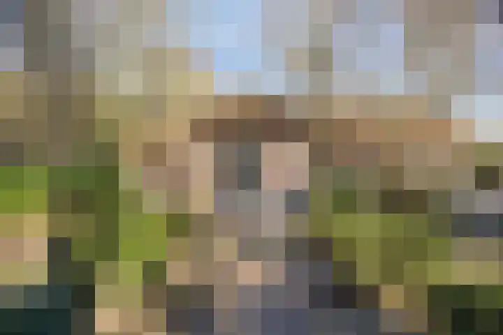 Tonnenberg 53 V 3 Ermelo thumbnail 36
