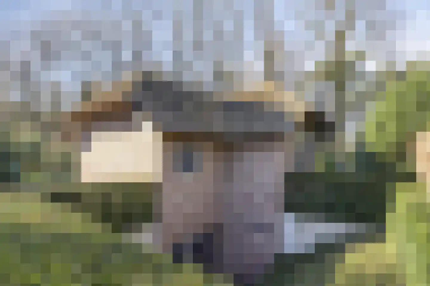 Tonnenberg 53 V 3 Ermelo thumbnail 37