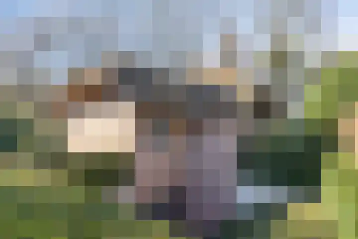 Tonnenberg 53 V 3 Ermelo thumbnail 37