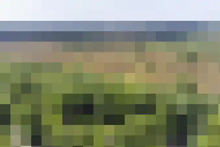 Tonnenberg 53 V 3 Ermelo thumbnail 41
