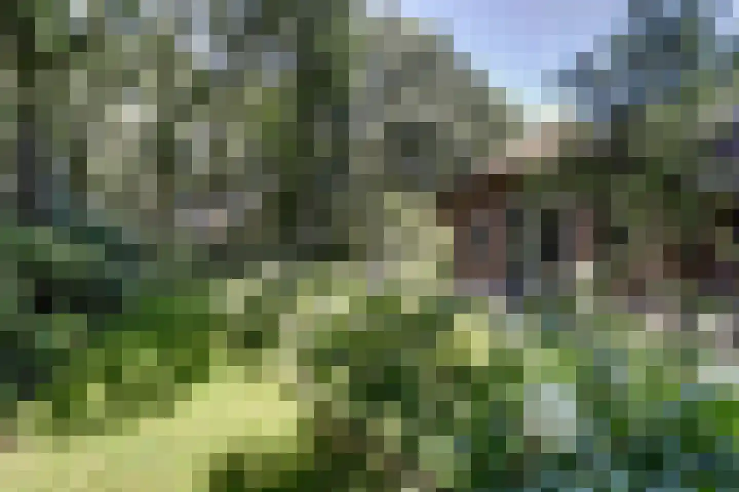 Tonnenberg 53 V 4 Ermelo thumbnail 27