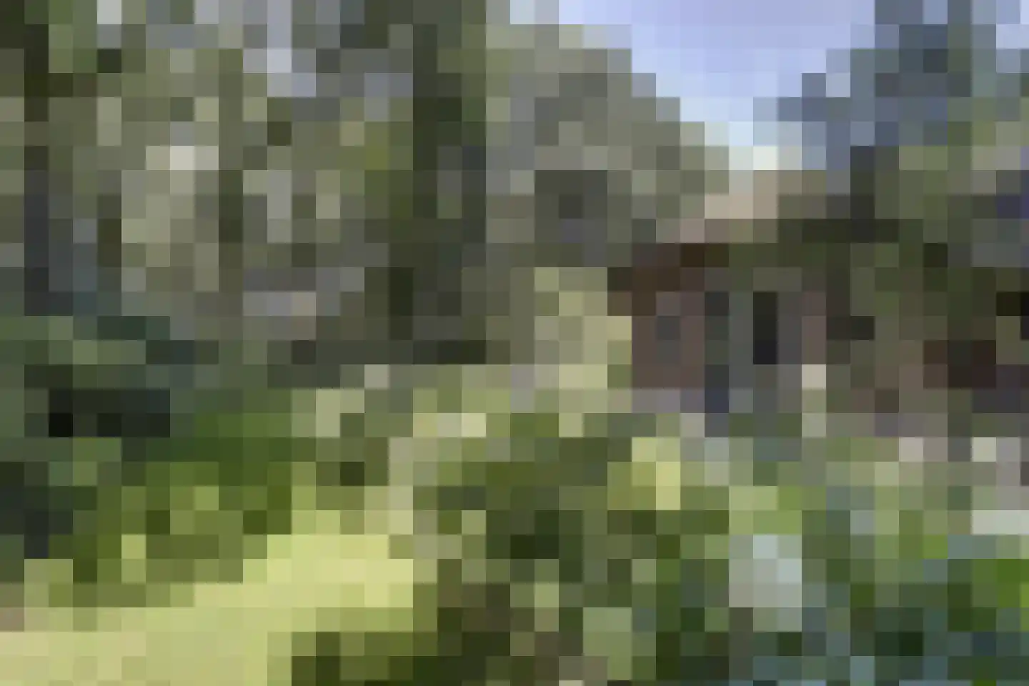Tonnenberg 53 V 4 Ermelo thumbnail 27