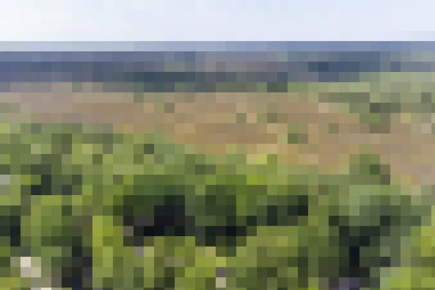 Tonnenberg 53 V 4 Ermelo thumbnail 4
