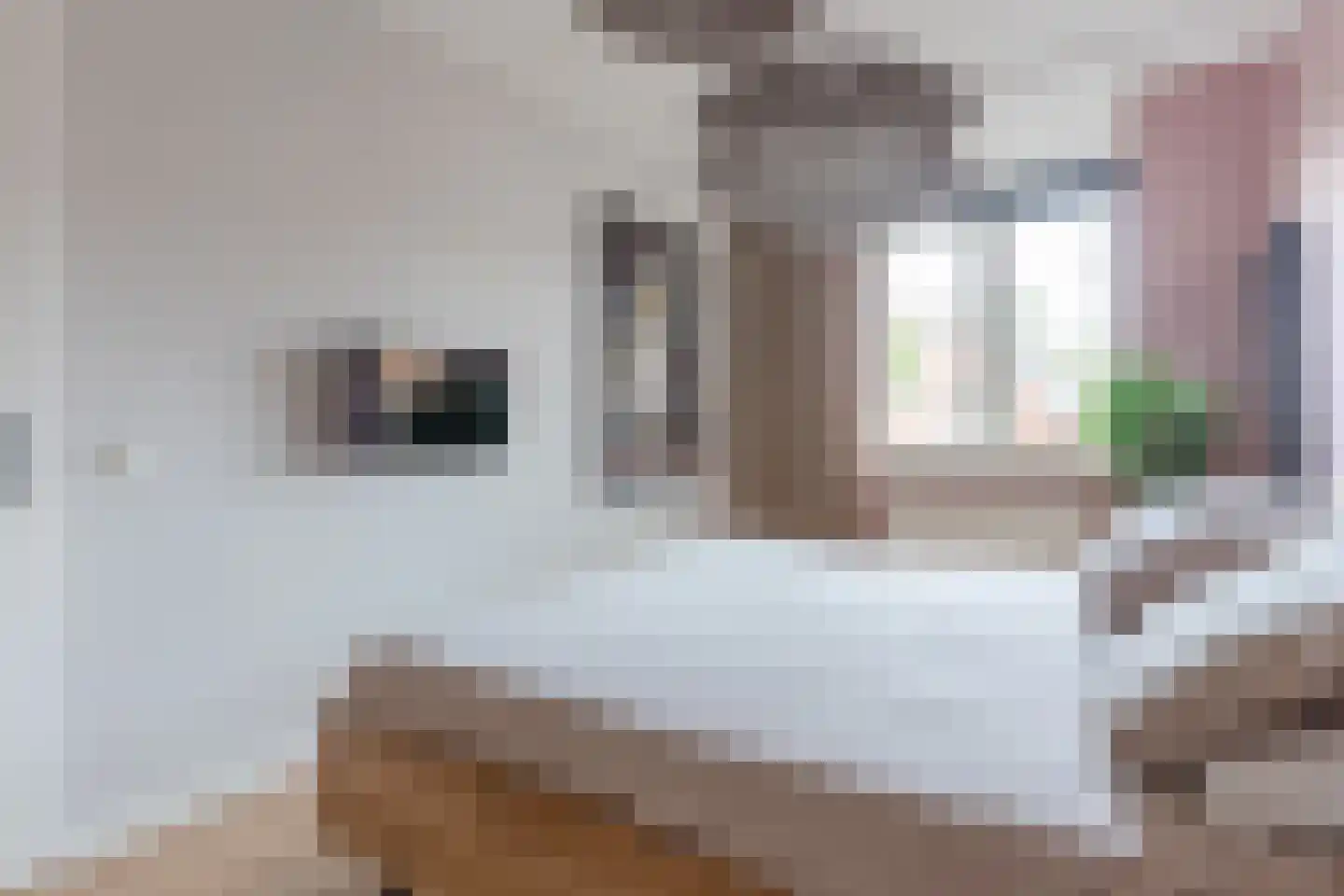 Tonnenbergerhout 21 Harderwijk thumbnail 17