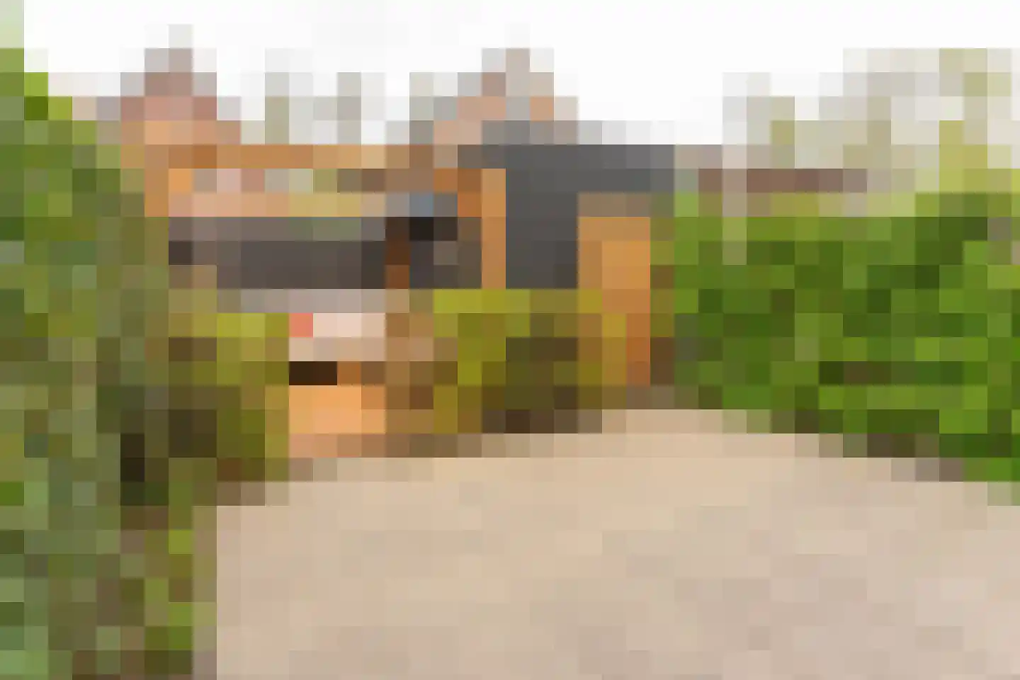 Tonnenbergerhout 21 Harderwijk thumbnail 31