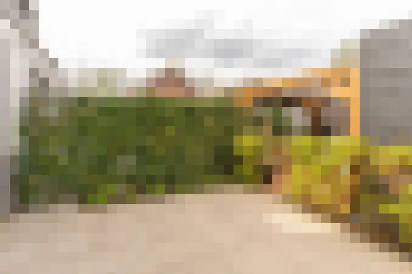 Tonnenbergerhout 21 Harderwijk thumbnail 32