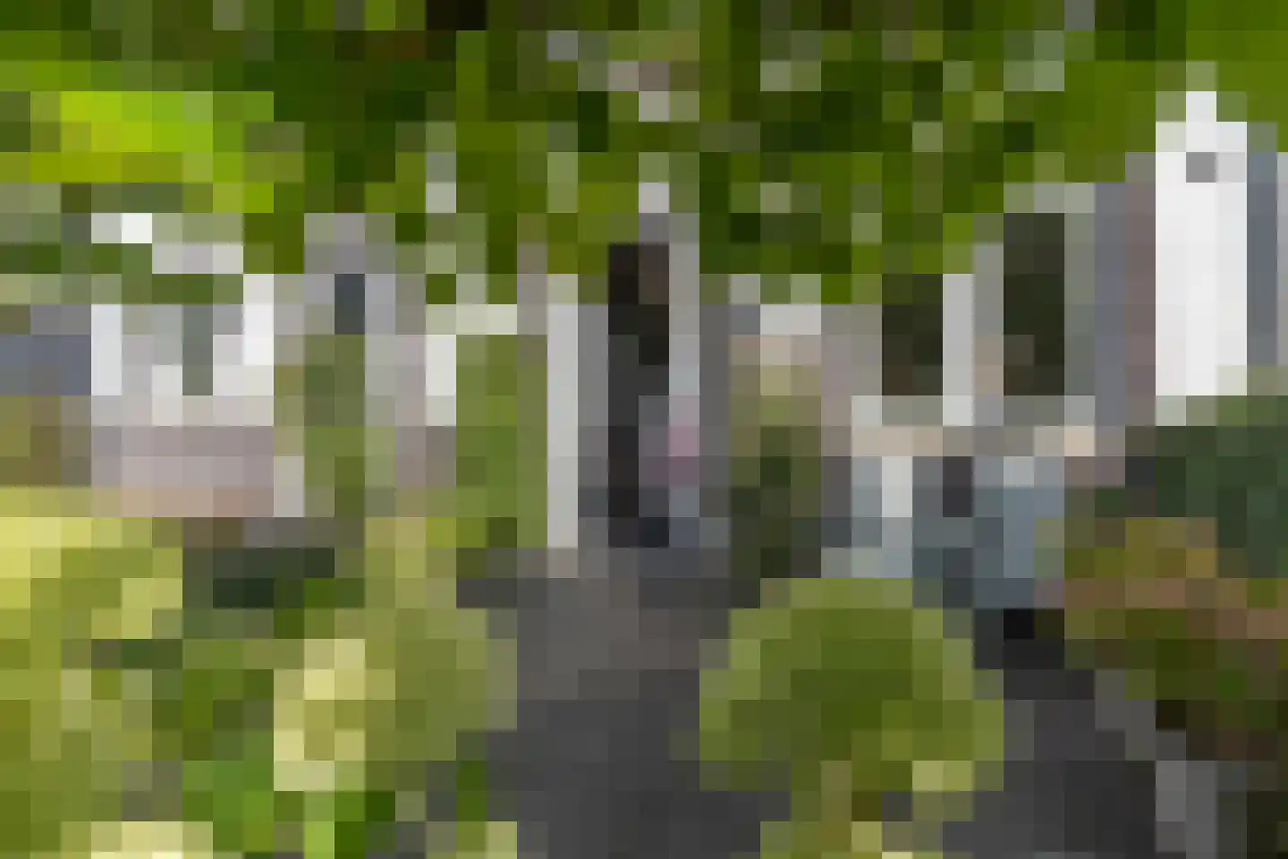 Tonnenbergerhout 21 Harderwijk thumbnail 35