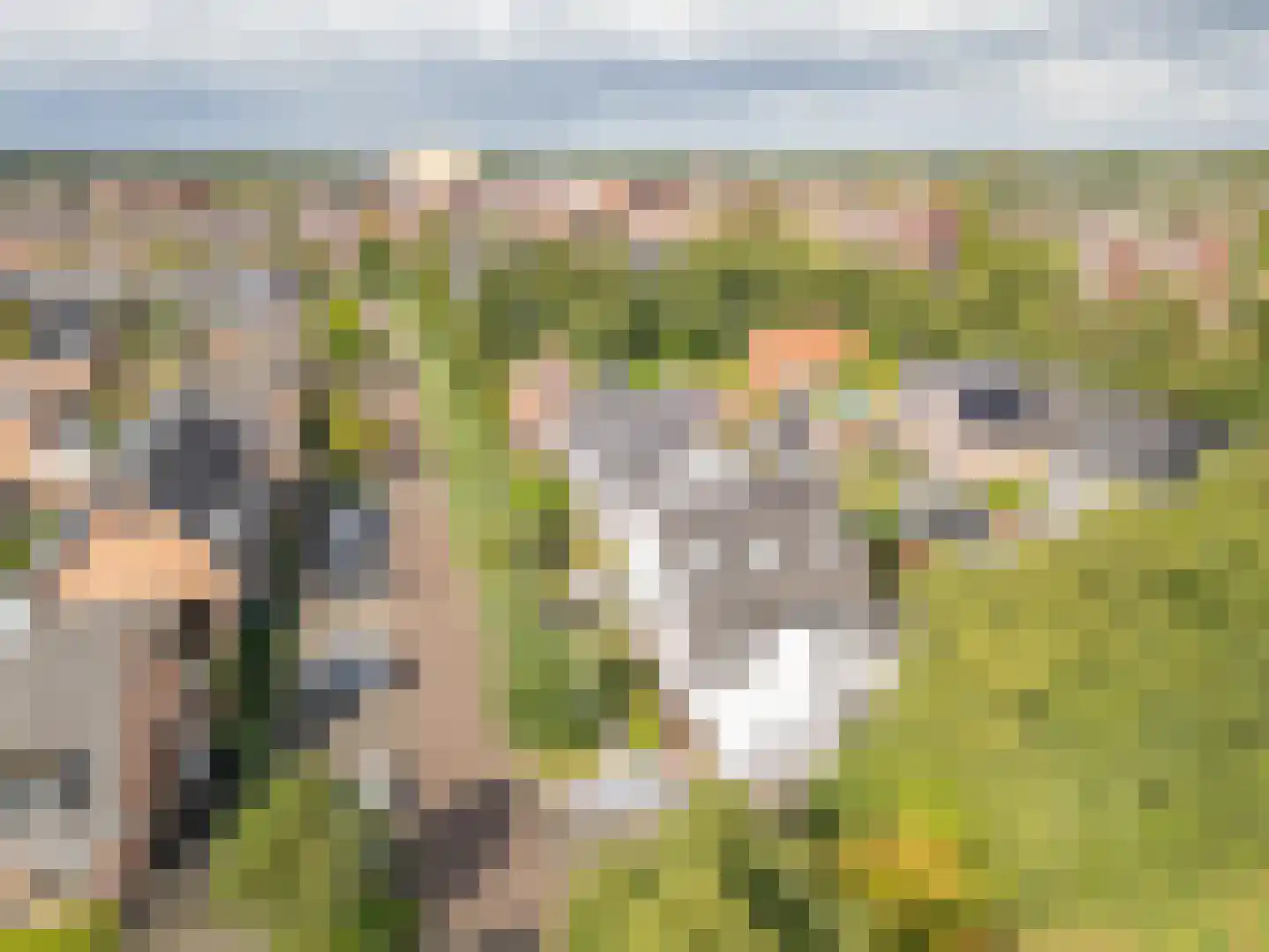 Tonnenbergerhout 21 Harderwijk thumbnail 39