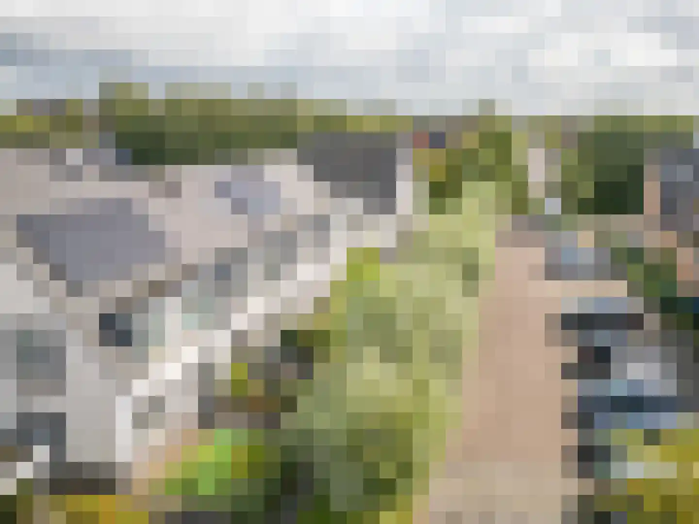 Tonnenbergerhout 21 Harderwijk thumbnail 40