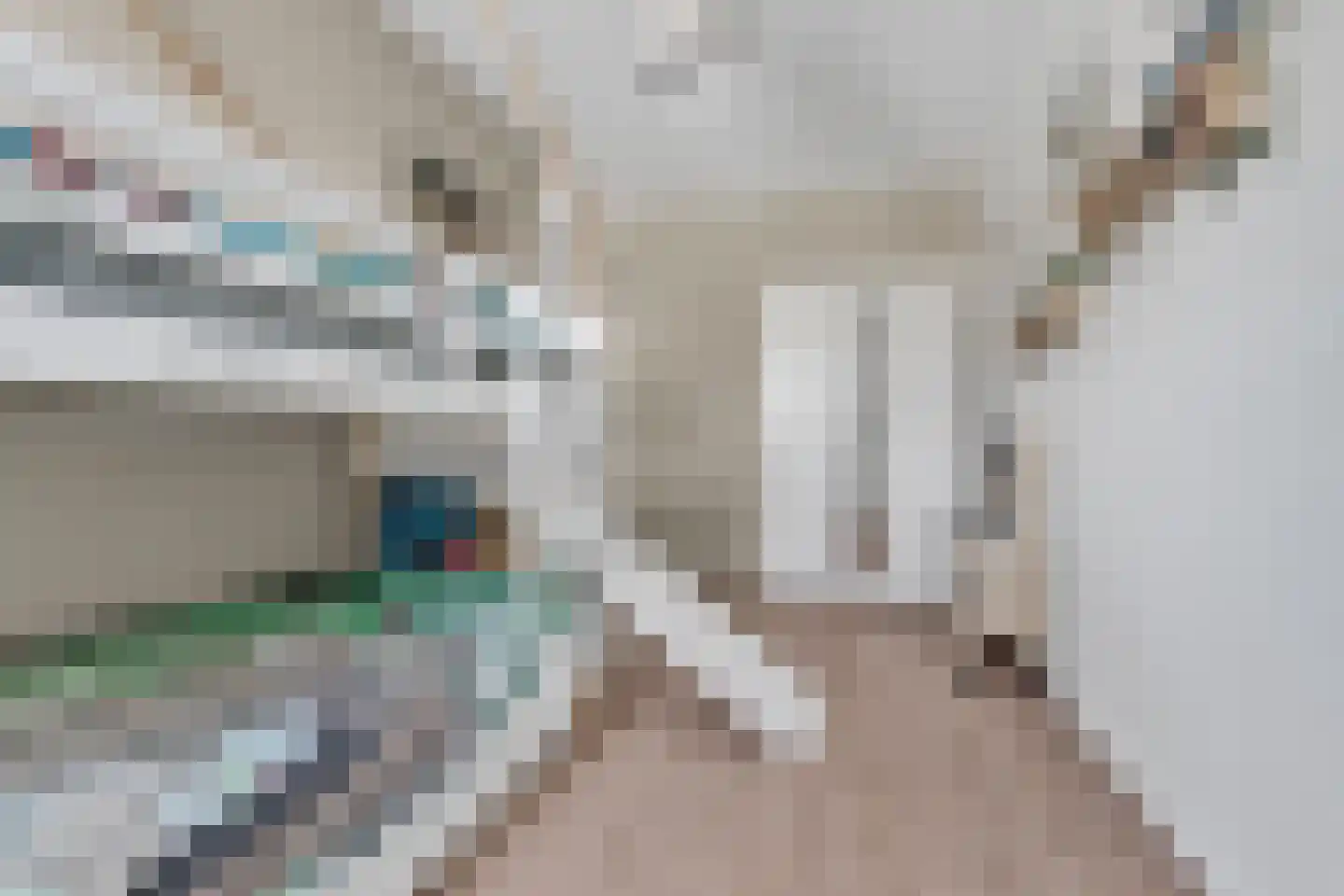 Tonnenbergerhout 54 Harderwijk thumbnail 19