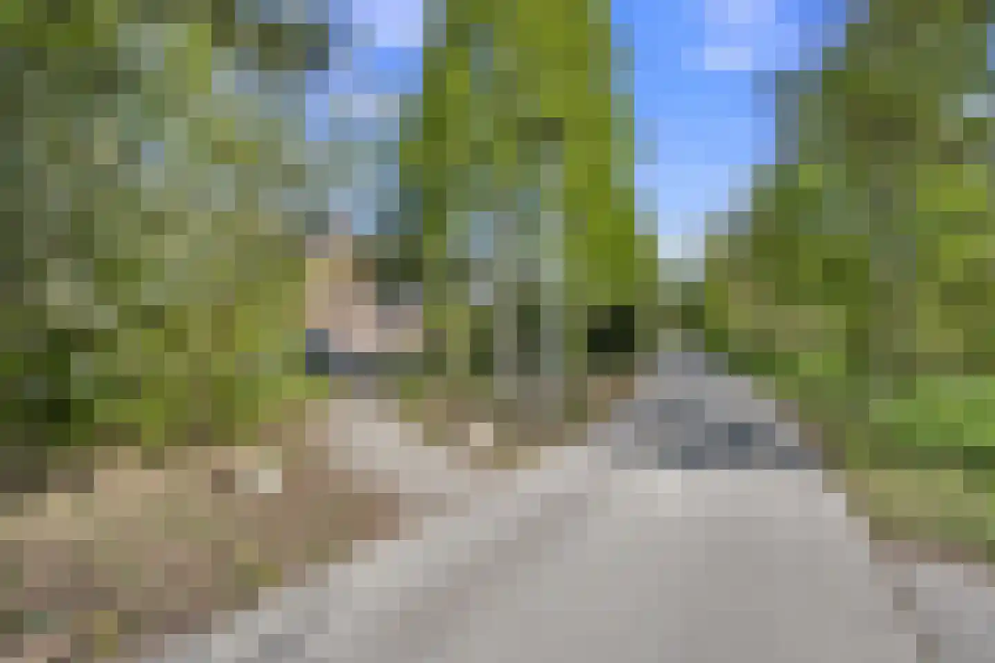 Tonnenbergerhout 54 Harderwijk thumbnail 34