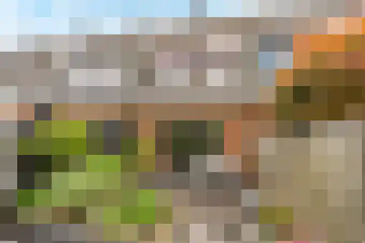 Tonnenbergerhout 66 Harderwijk thumbnail 37