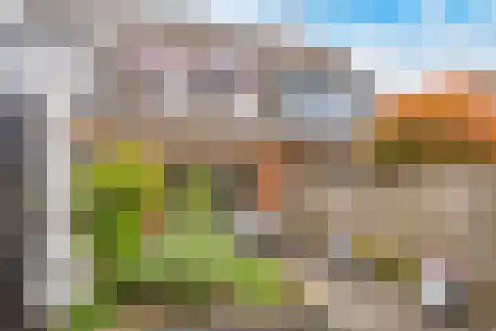 Tonnenbergerhout 66 Harderwijk thumbnail 38