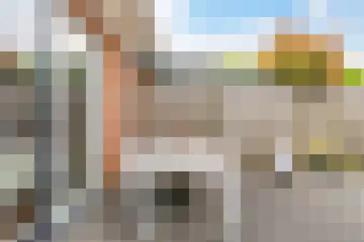 Tonnenbergerhout 66 Harderwijk thumbnail 39