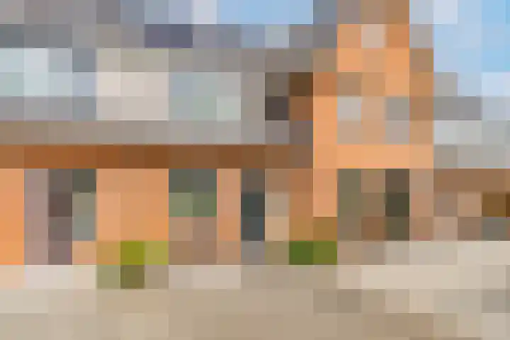 Tonnenbergerhout 66 Harderwijk thumbnail 4