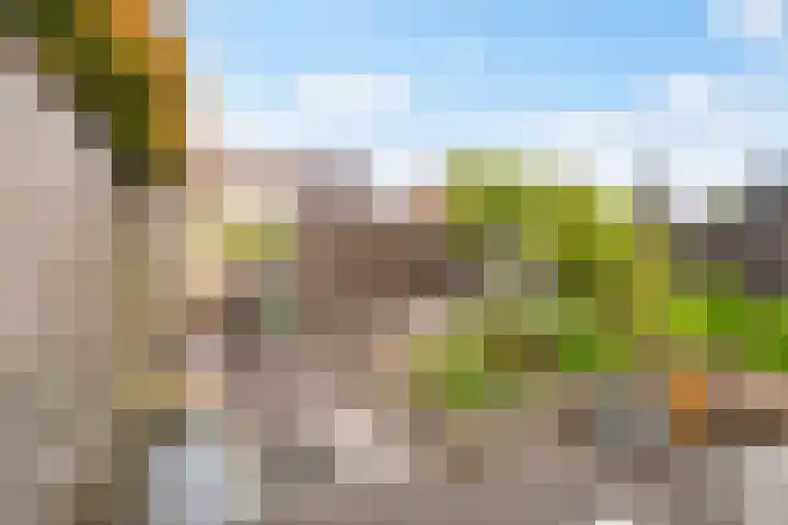 Tonnenbergerhout 66 Harderwijk thumbnail 40
