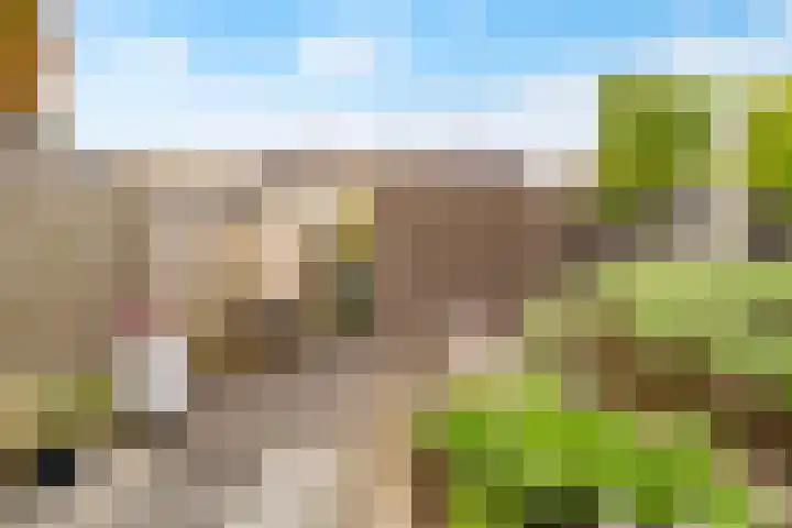 Tonnenbergerhout 66 Harderwijk thumbnail 41