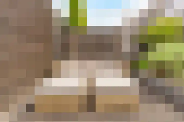Tonnenbergerhout 66 Harderwijk thumbnail 42