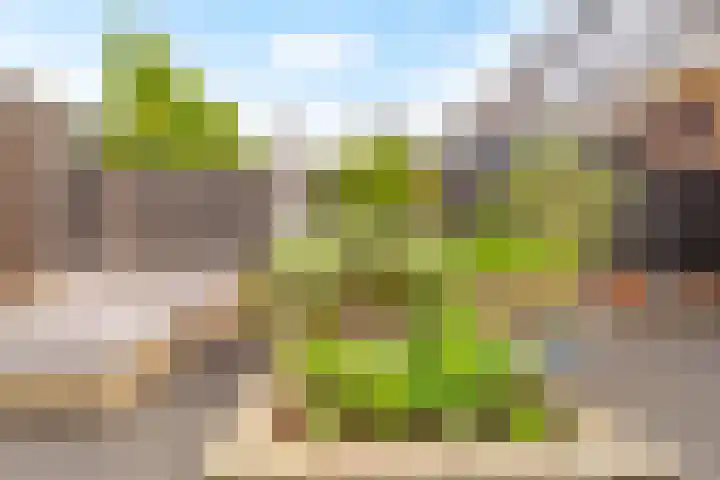 Tonnenbergerhout 66 Harderwijk thumbnail 43