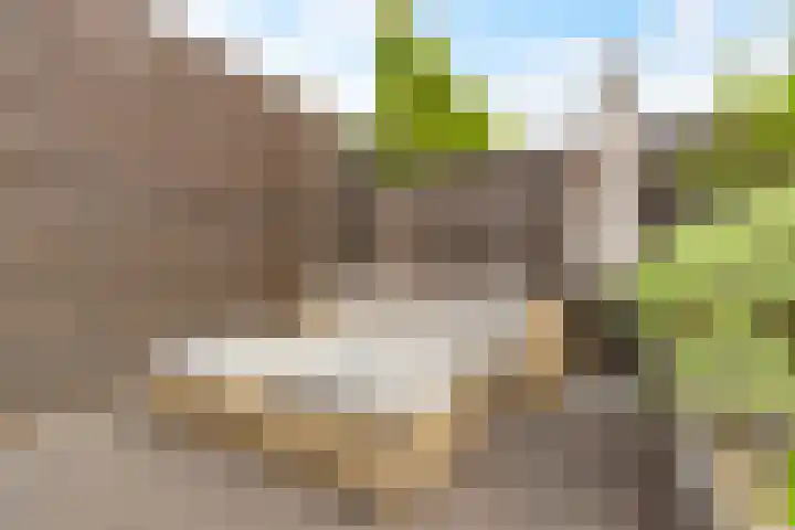Tonnenbergerhout 66 Harderwijk thumbnail 44