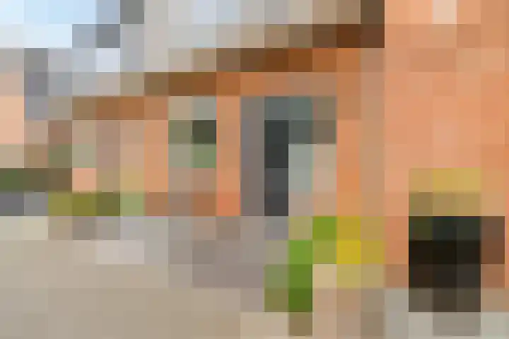 Tonnenbergerhout 66 Harderwijk thumbnail 45