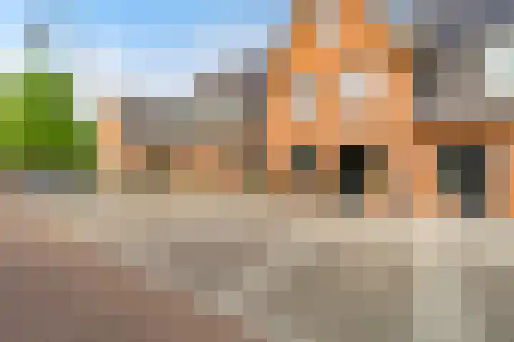 Tonnenbergerhout 66 Harderwijk thumbnail 46