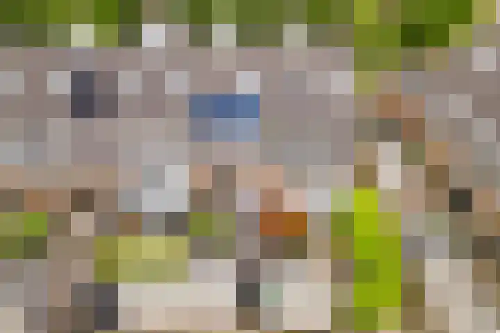 Tonnenbergerhout 66 Harderwijk thumbnail 49