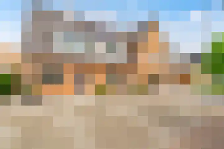 Tonnenbergerhout 66 Harderwijk thumbnail 5
