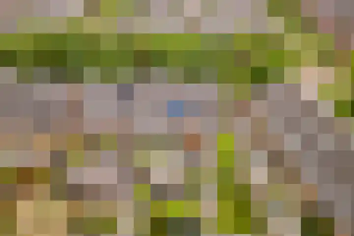 Tonnenbergerhout 66 Harderwijk thumbnail 50
