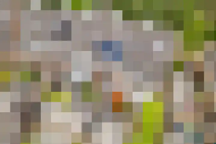 Tonnenbergerhout 66 Harderwijk thumbnail 51