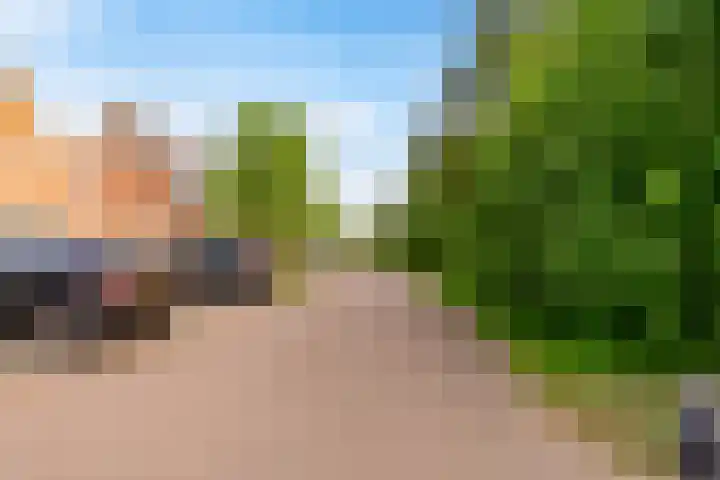 Tonnenbergerhout 66 Harderwijk thumbnail 52