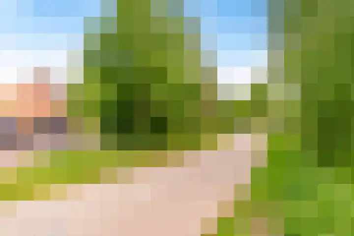 Tonnenbergerhout 66 Harderwijk thumbnail 53