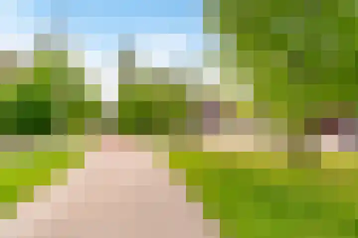 Tonnenbergerhout 66 Harderwijk thumbnail 55